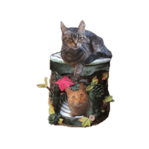 Hutjes, tipi's en iglo’s