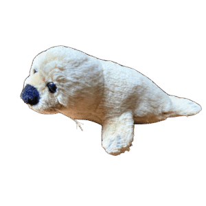 Babyzeehond