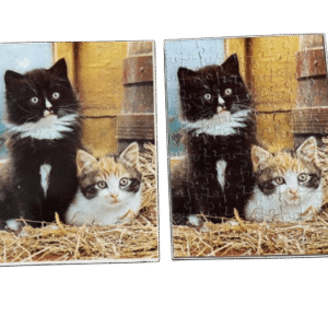 Puzzel 2 katjes in stro
