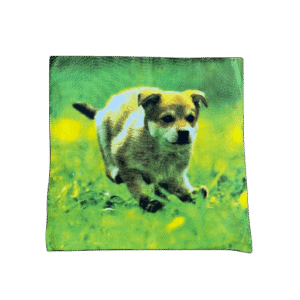 Kussenhoes rennende pup