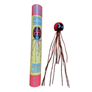 Hoofdmassage lieveheersbeestje