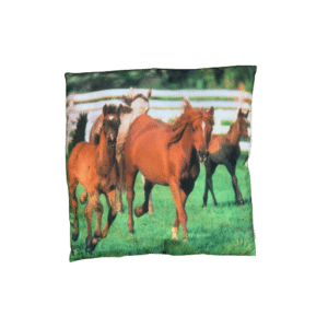 Kussen paarden