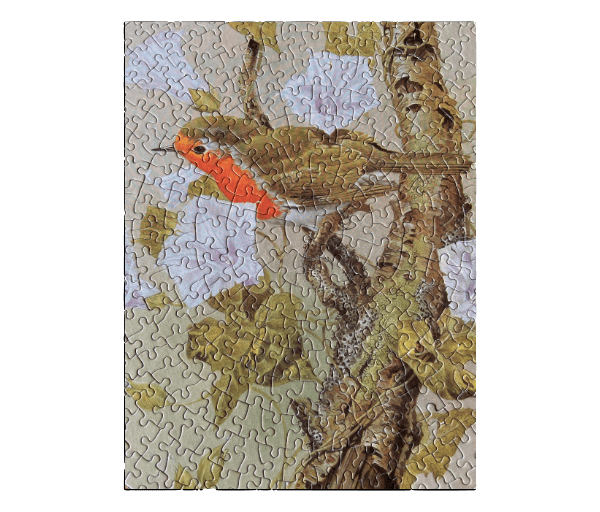 Puzzel rond roodborstje (500 stukjes) - Afbeelding 4