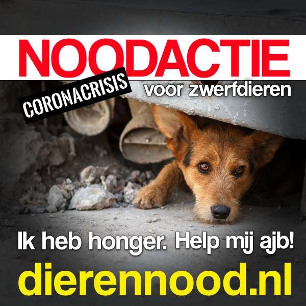 Noodoproep