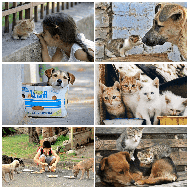 Kaarten collage