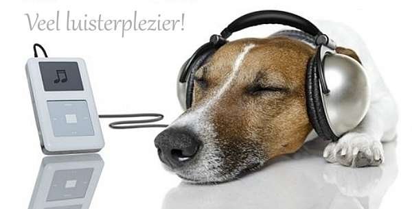 Hond met koptelefoon