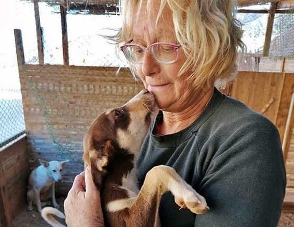 Janet Wadi update - Dierennood