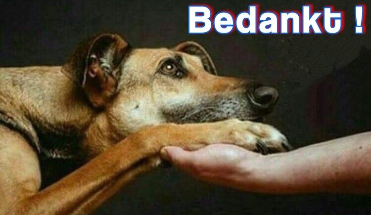 LED reklame scherm