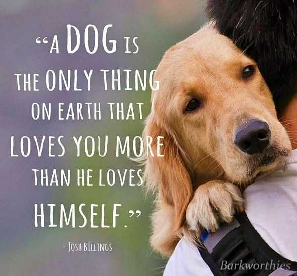 doglove (2) Jongen met poes