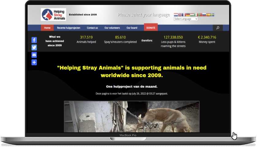 Stray animals website homepage