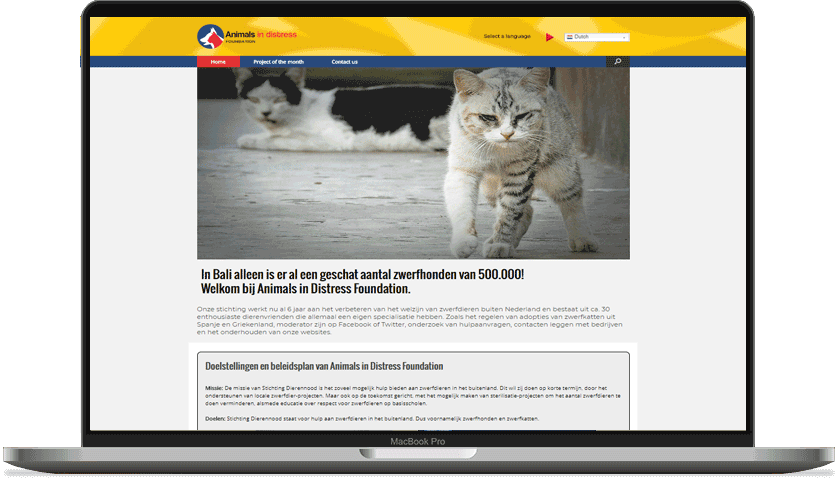 Helping stray animals website 4