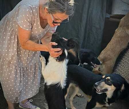 Gabriëla met een paar honden