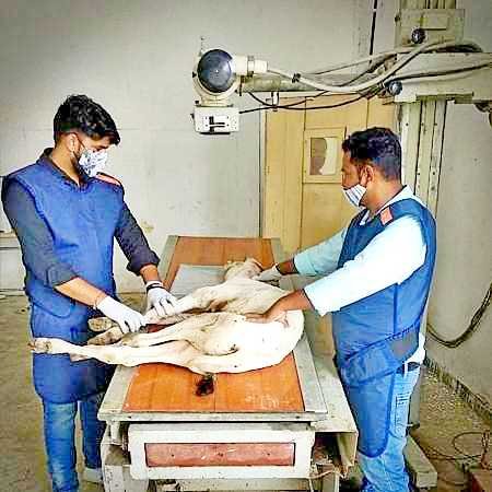 <div style="margin-top: 10px;font-size: 14px;text-align: center">Faridabad - India</div>