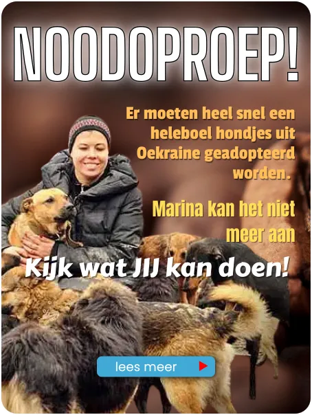 Stichting Dierennood Noodoproep