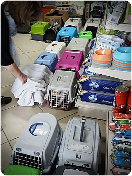 Person folding a white towel on a tiled floor beside rows of colorful plastic pet carriers in a pet store display.