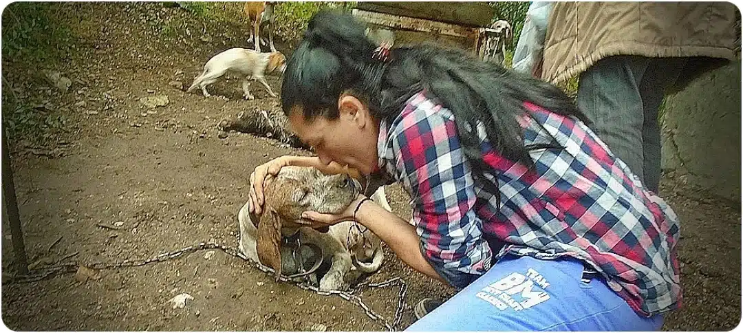 Young woman in a plaid shirt crouches to kiss a small brown dog on a dirt yard.
