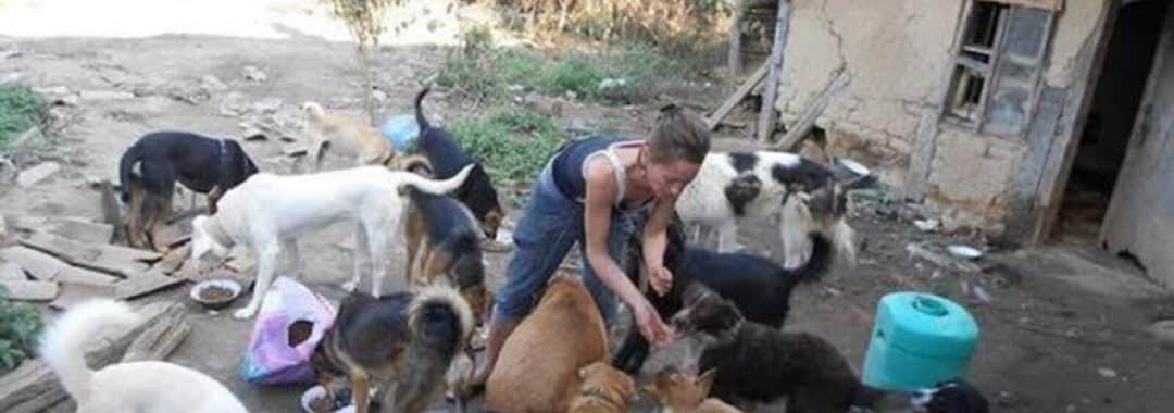 Person feeding and petting a large group of dogs in a rough outdoor yard beside an old house.
