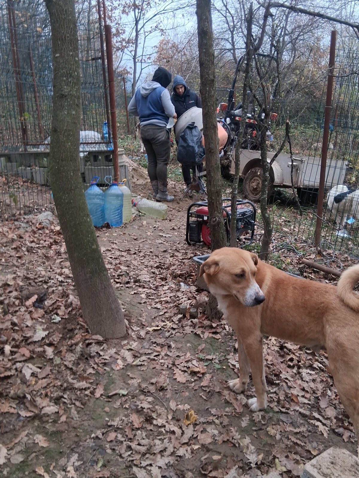 Two people in hoodies repair a machine in a fenced yard while a brown dog stands among fallen leaves in the foreground.