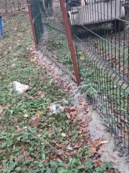 A leaning wooden fence post supports a chain-link fence in a yard with fallen leaves and overgrown grass.