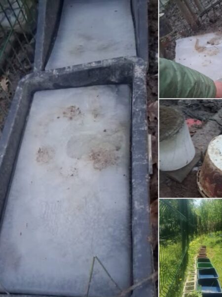 Outdoor collage: a dusty metal slide/trough on the left; right panels show a person in a green sleeve, a rusted drum, and a fenced yard area.