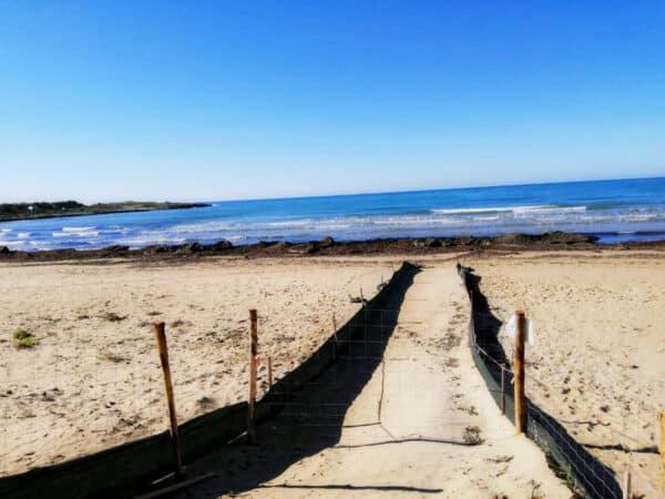 Sandy beach with a narrow fenced sand path leading to the blue sea and rocky shore under a clear sky.