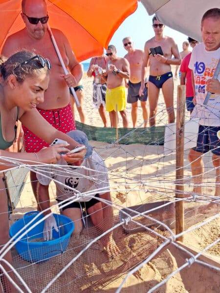 Group of beachgoers gathered around a small wire pen on the sand; a woman in green tops uses her phone nearby, with a blue bucket inside the pen.