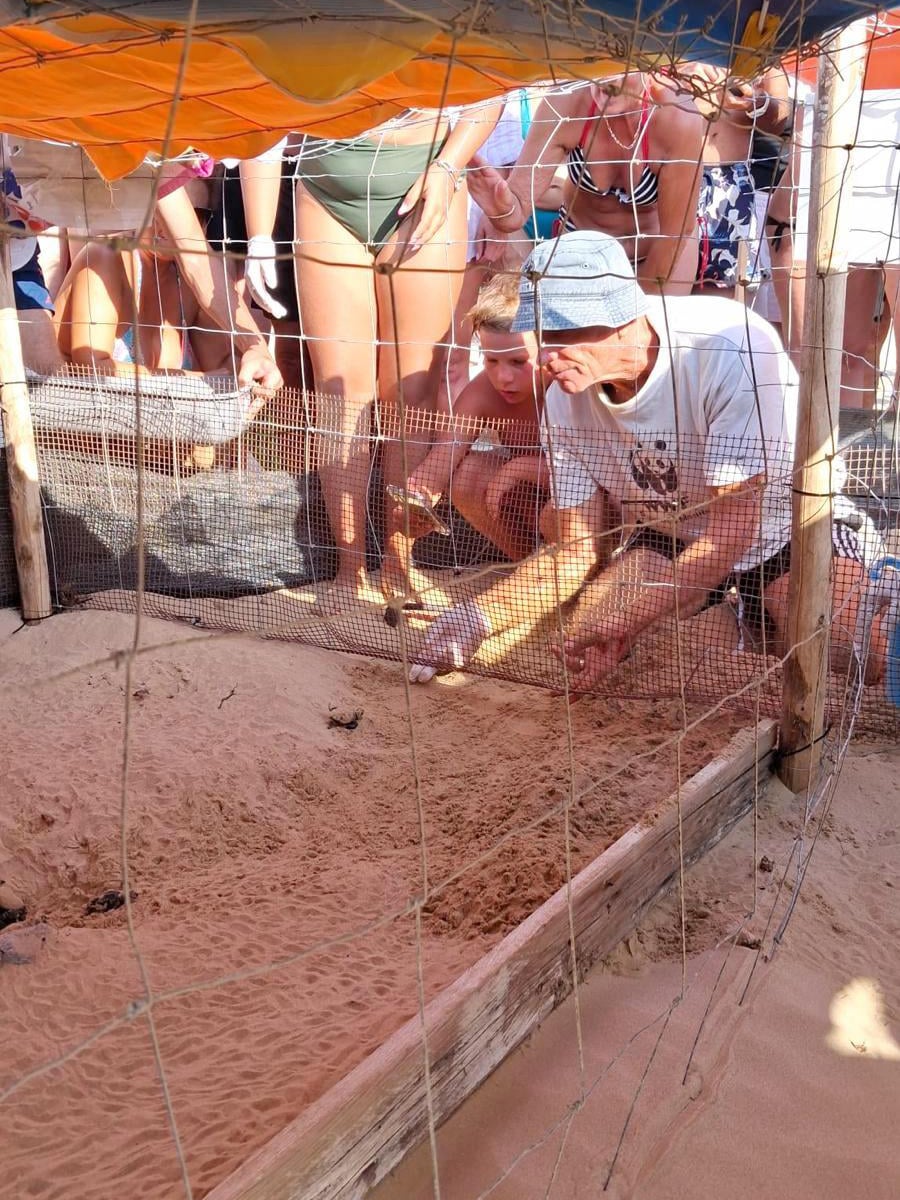 Man in a light cap guiding a child as they dig in a sand pit inside a wooden, net-enclosed area at the beach, with onlookers in swimsuits watching.