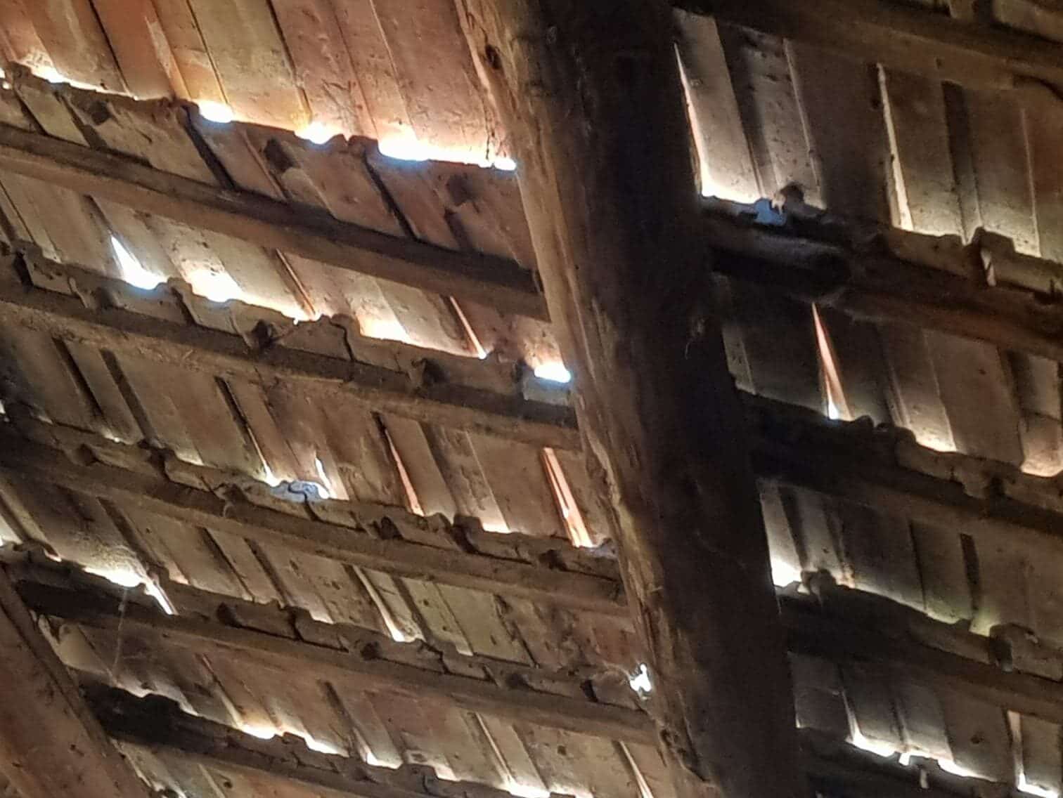 Sunlight filters through gaps in a weathered wooden attic roof with exposed beams.