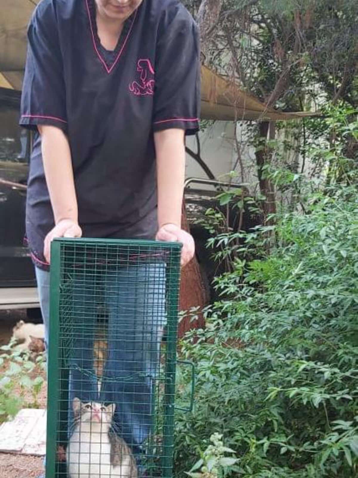 Person in dark scrubs stands behind a green wire pet crate outdoors, a white-and-brown cat sits inside looking up at the camera.