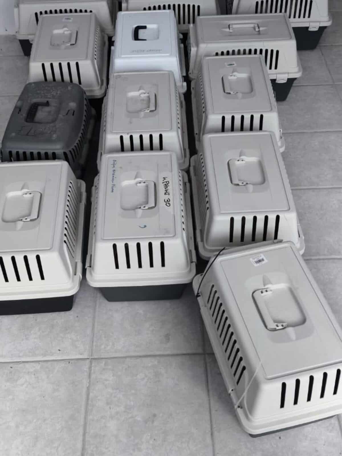 Multiple light-gray plastic pet carriers stacked on a tiled floor, with vents and doors closed.