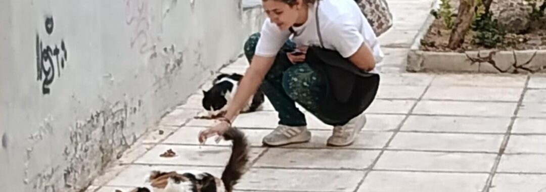 Person crouching on a sidewalk feeding several cats near a graffiti-covered wall.
