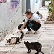 Person crouching on a sidewalk feeding several cats near a graffiti-covered wall.