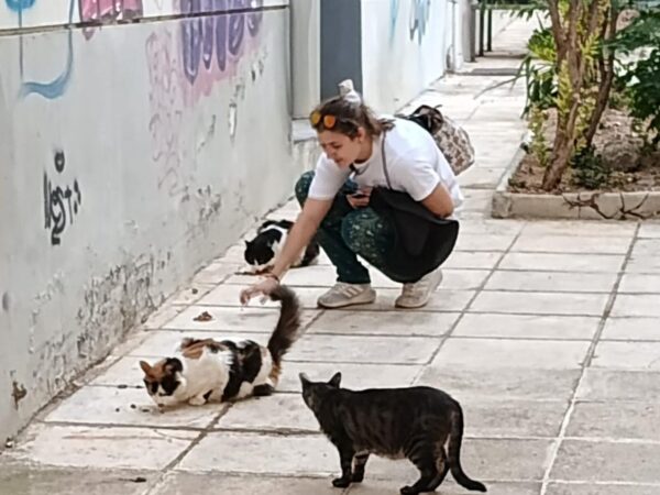 Person crouching on a sidewalk feeding several cats near a graffiti-covered wall.