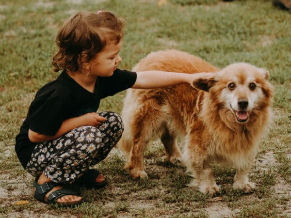Young girl kneeling and petting a fluffy golden dog in a grassy outdoor area, both looking content outdoors.