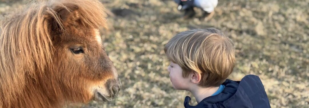 Young child in a blue patterned jacket touches noses with a brown pony in a grassy field; a person sits blurred in the background.