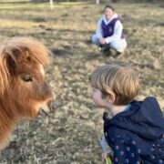 Young child in a blue patterned jacket touches noses with a brown pony in a grassy field; a person sits blurred in the background.