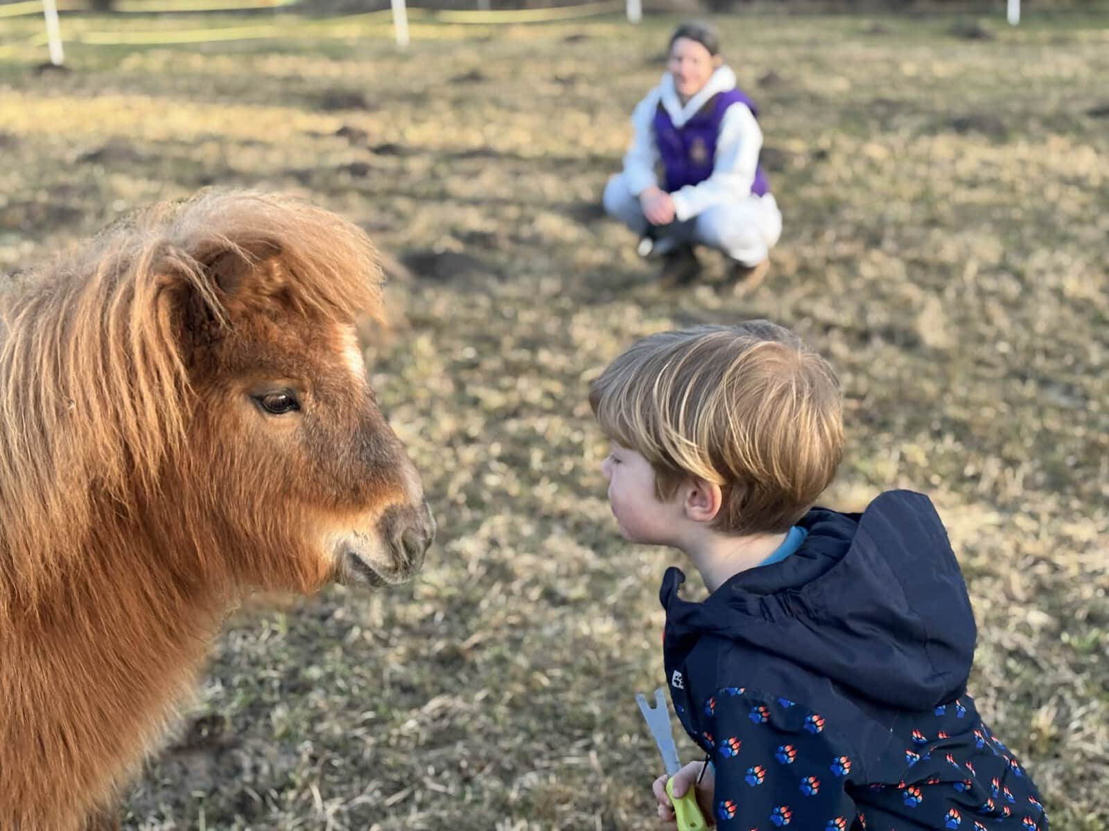 Young child in a blue patterned jacket touches noses with a brown pony in a grassy field; a person sits blurred in the background.