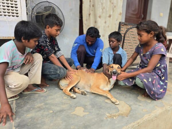 A group of children sitting in a circle outdoors, gently petting a relaxed dog with its tongue out.