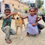 Three children kneel on a brick street, petting a tan dog between them; another dog stands nearby in the background.
