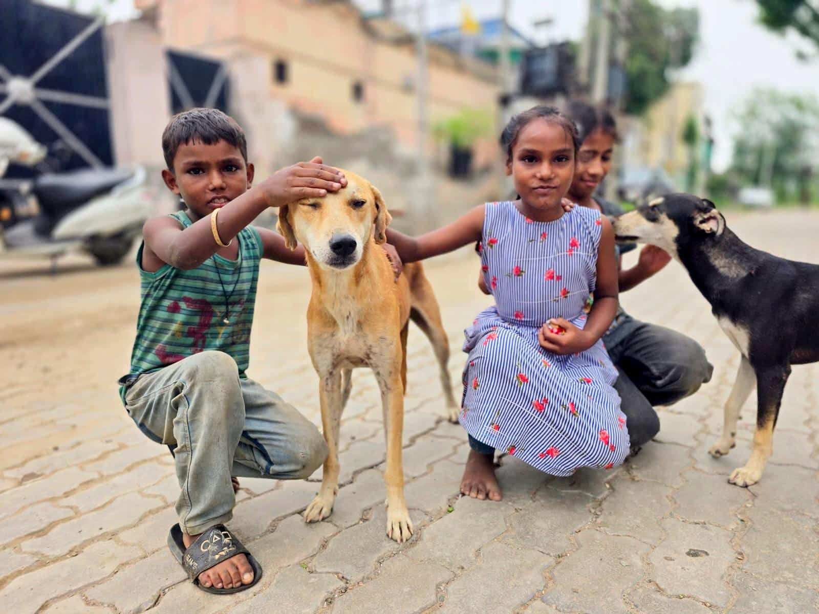 Three children kneel on a brick street, petting a tan dog between them; another dog stands nearby in the background.