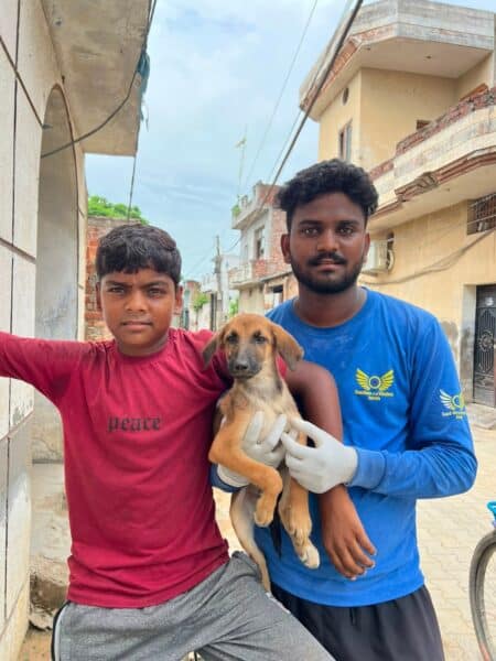 Two boys stand in a narrow street, one in a red shirt and the other in a blue shirt, holding a small brown puppy between them.