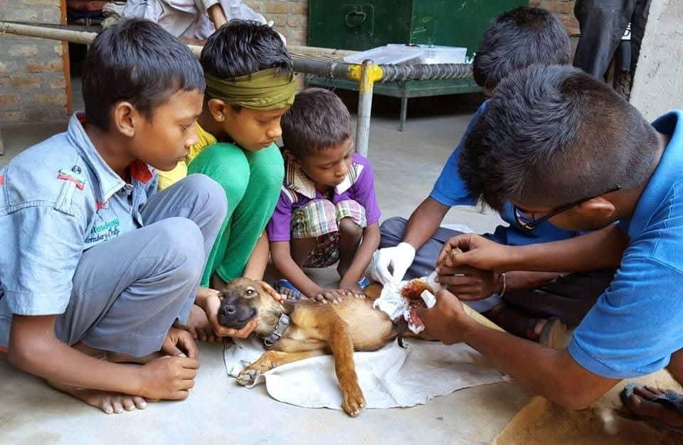 Group of children and a man treating an injured puppy laid on a cloth on the ground with bandages nearby.