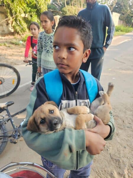 Boy with a blue backpack holding a small puppy on a street, other kids and a man in the background.
