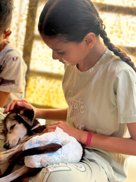 A young girl with a braid gently pets a cat resting on her lap, wrapped in a blue towel/blanket.