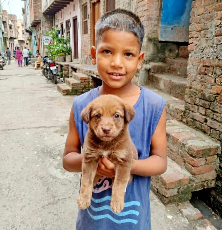 Young boy in a blue sleeveless shirt holding a brown puppy in a narrow village street with brick buildings on either side.