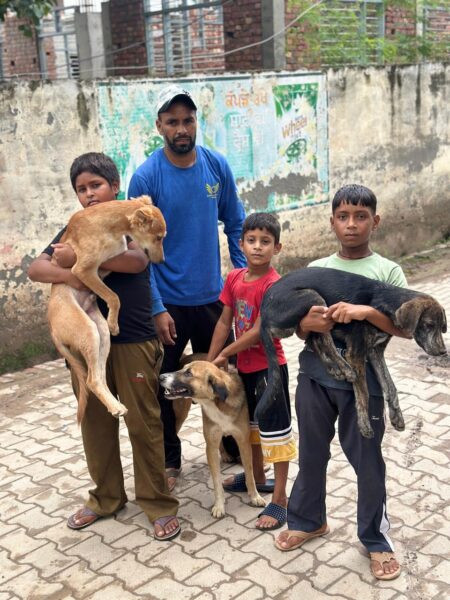 Man and three boys stand on a paved area holding two stray dogs; a tan dog is lifted by one boy, a black dog is carried by another, with a friendly light-colored dog at their feet.